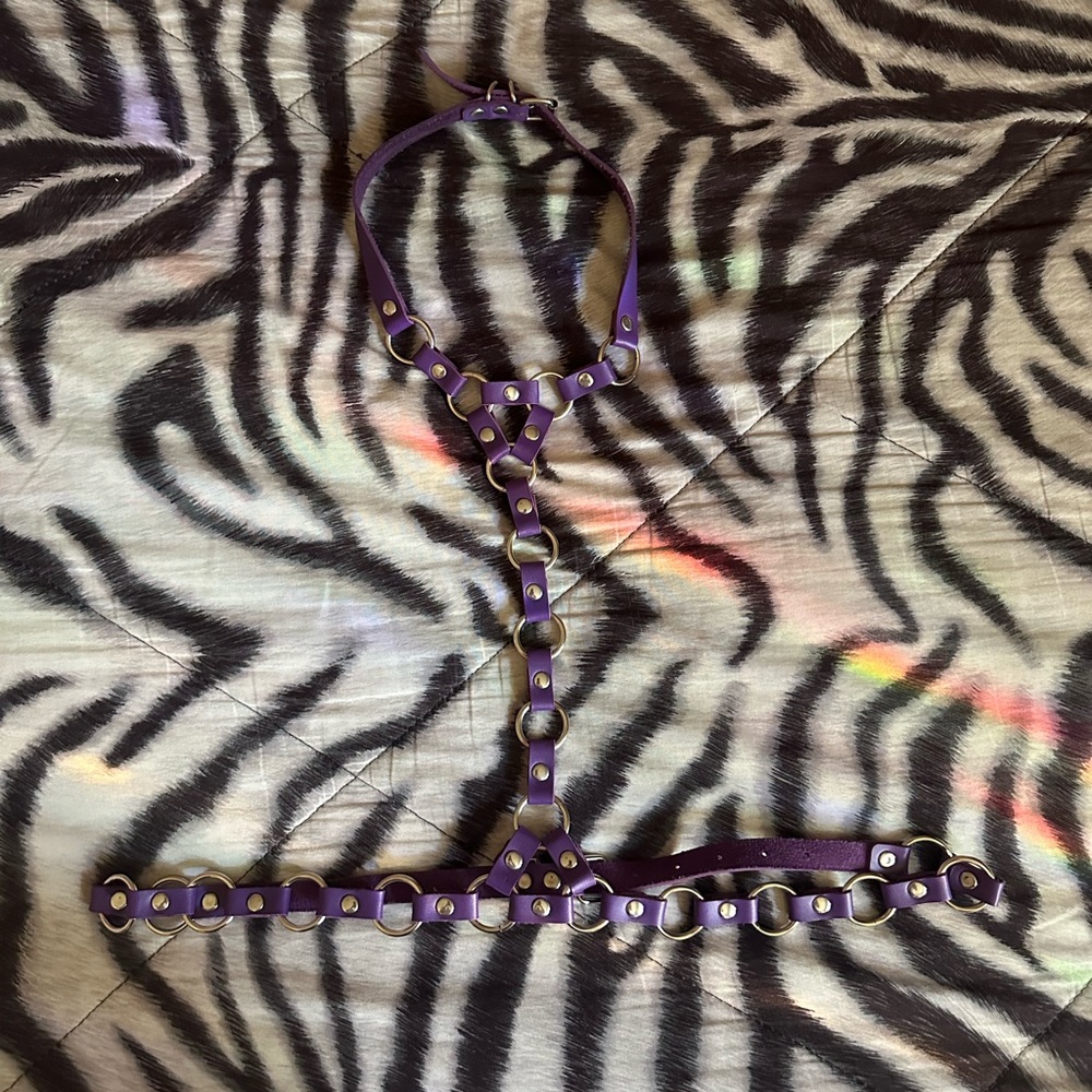 Harness - Picture 2 of 3